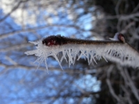 Eis / Schnee