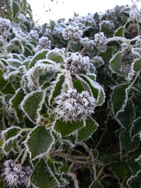 Eis / Schnee