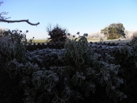 Eis / Schnee