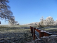 Eis / Schnee