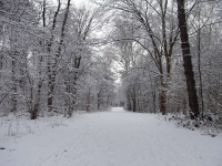 Eis / Schnee