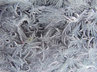 Eis / Schnee