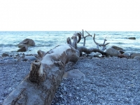 Sand / Meer / Küste