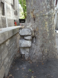 Steine / Gemäuer / Gebäude