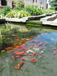 Binnenwasser